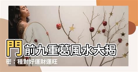 門前種九重葛風水|九重葛風水攻略：門口種植招財納福旺運氣 